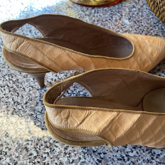 AUTHENTIC CROCODILE IN CREME! - Picture 5 of 5